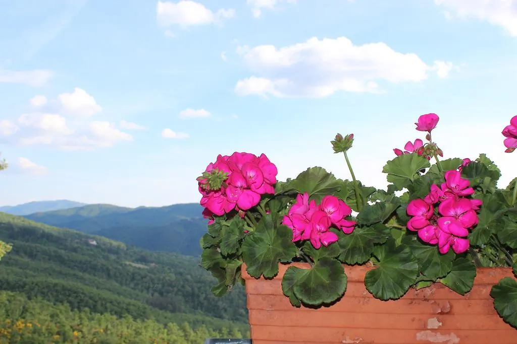 Agriturismo Badia Ficarolo Palazzo del Pero Lantgård